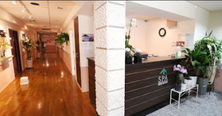 Four Seasons Massage listing photo