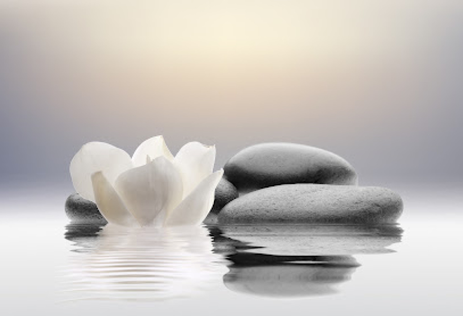 Massage Space photo 1