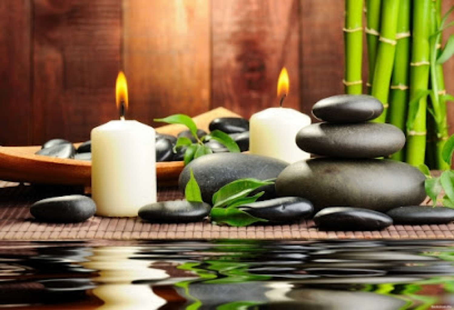 Annas Holistic Healing Touch Oasis photo 1