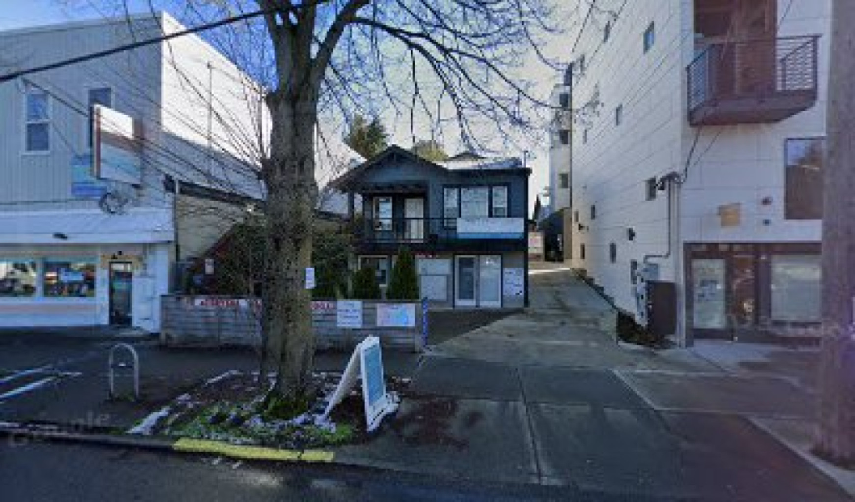 Healing Tree photo 1