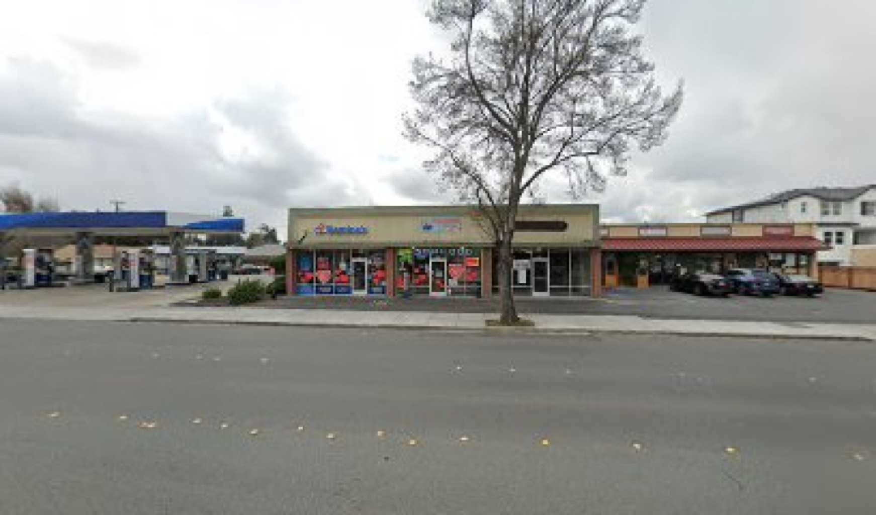 Young Spa photo 1