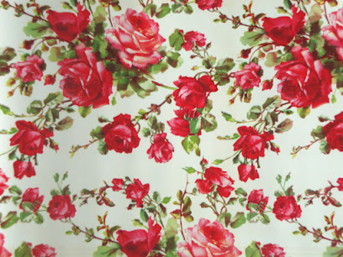Rose SPA photo 1