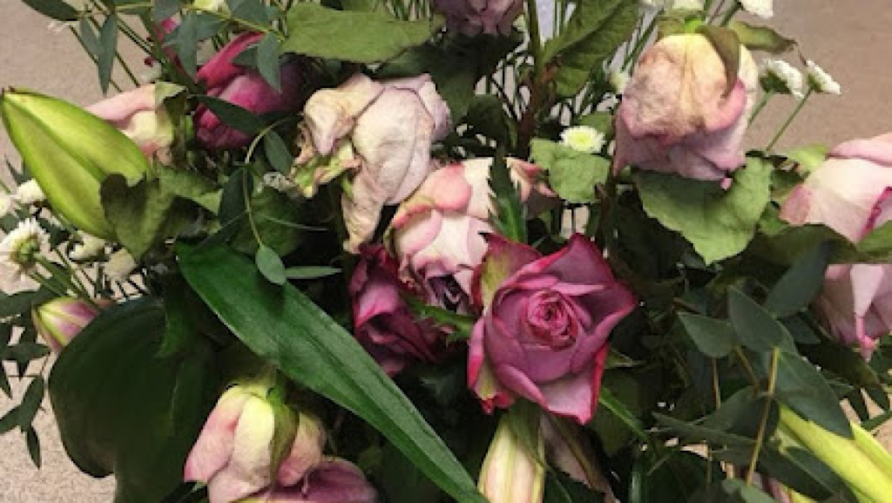 Asian Flowers photo 1