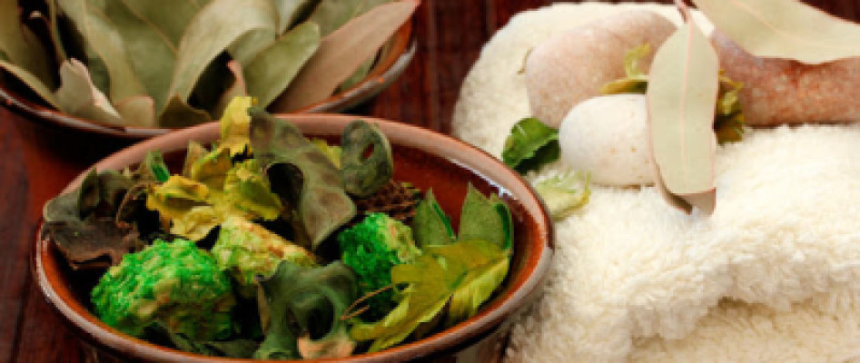 Touch Of Japan Wellness Center listing photo