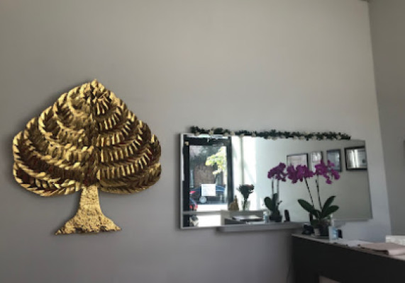 Ozone Spa listing photo
