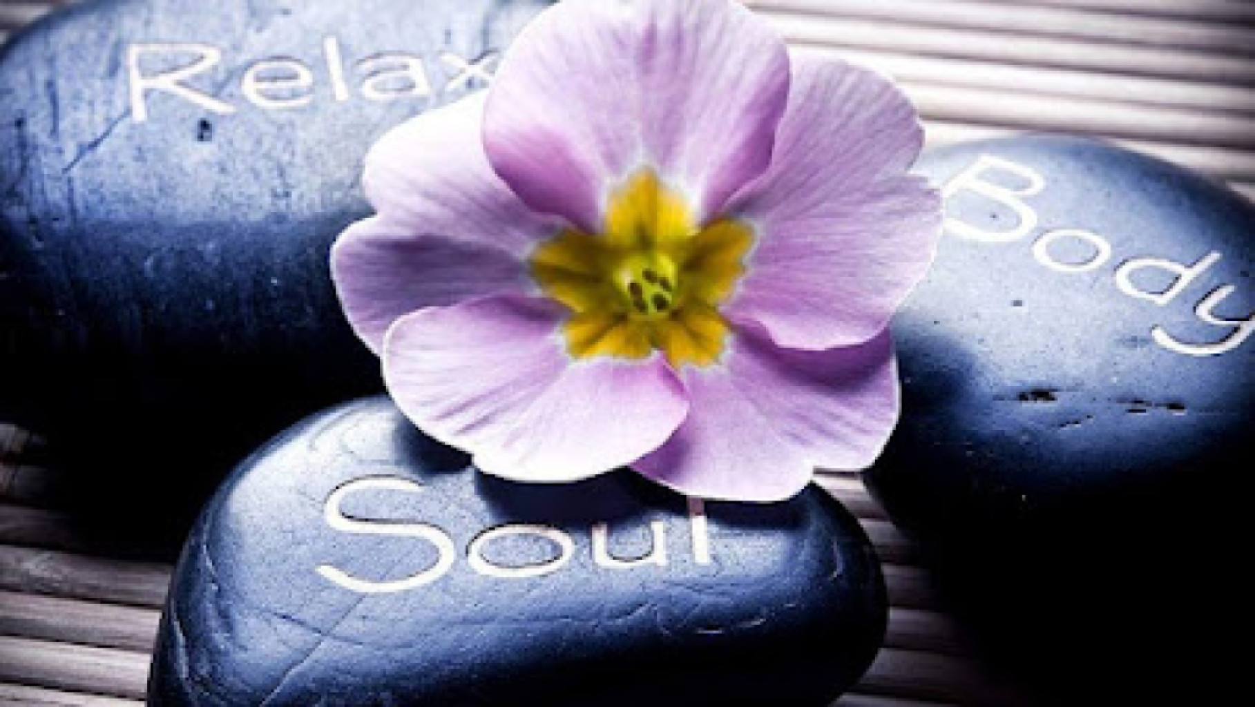Therapy Massage photo 1