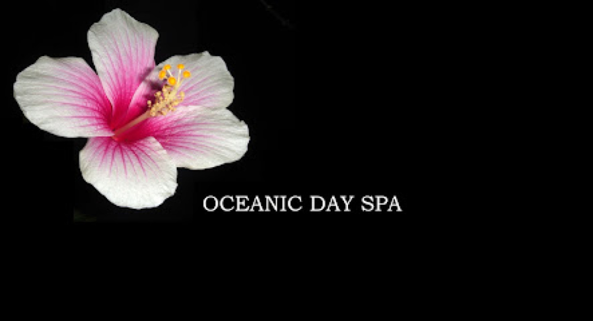Oceanic Massage Day Spa photo 1