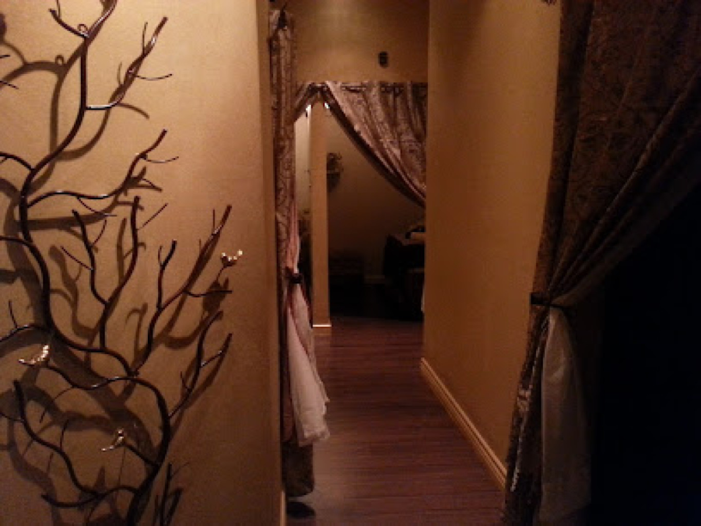 Hollywood Hills Thai Spa photo 1