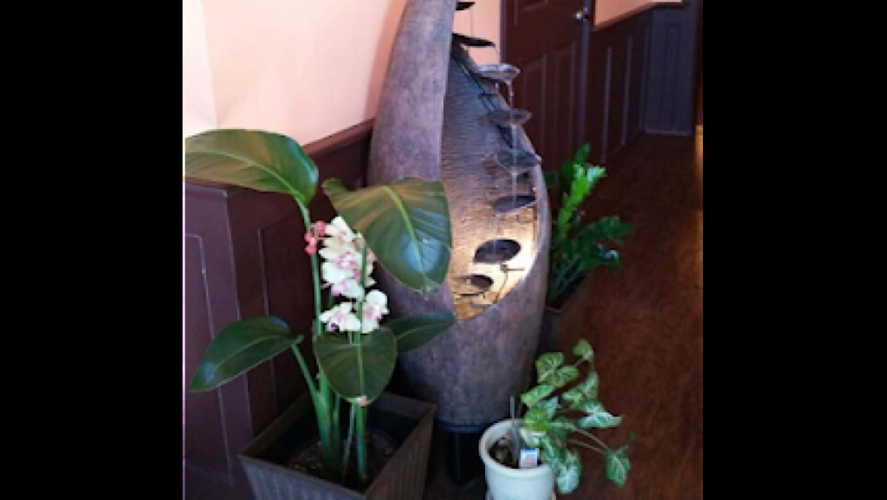 Houston Healing Massage photo 1