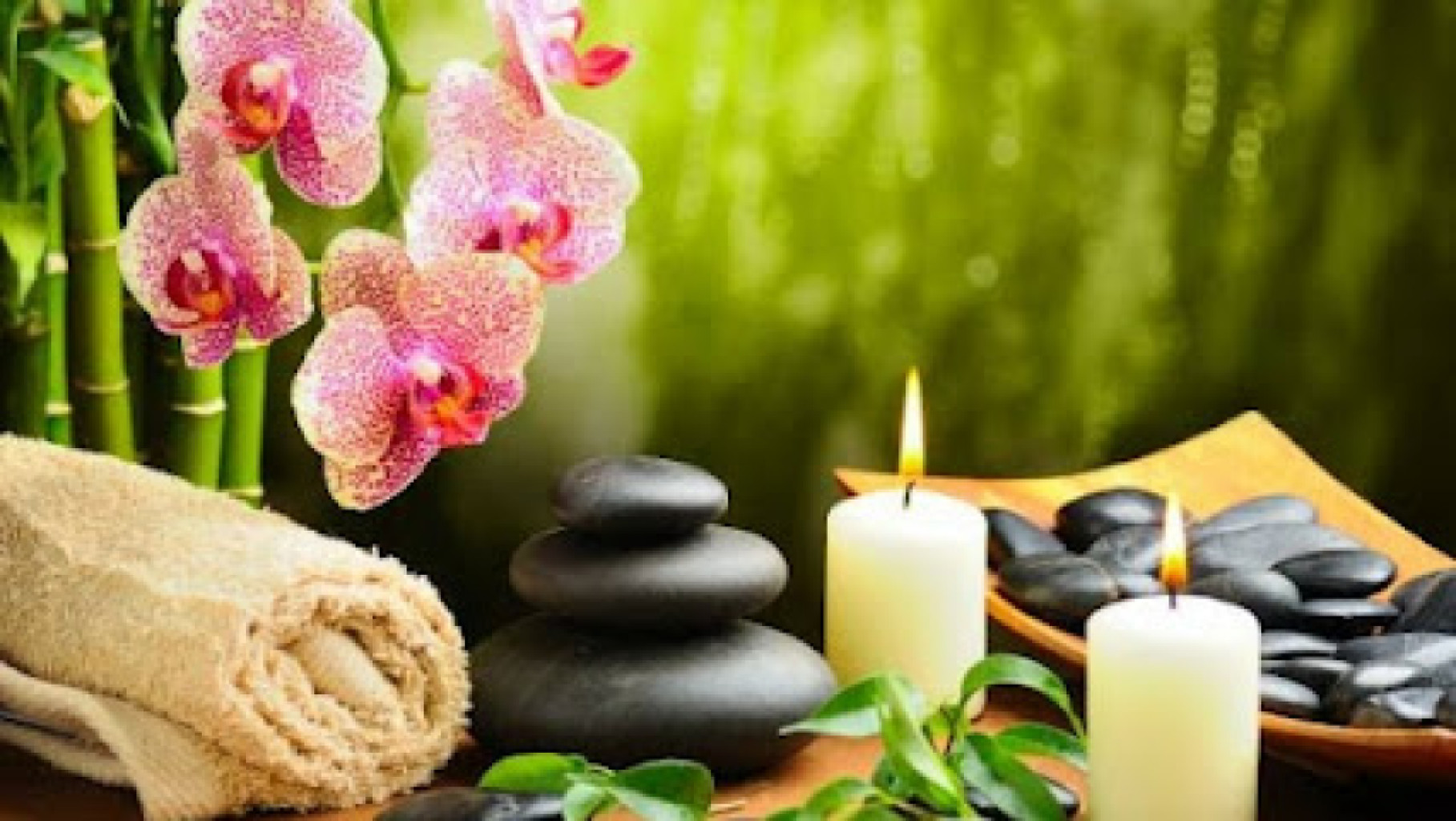 Lily Garden Massage photo 1