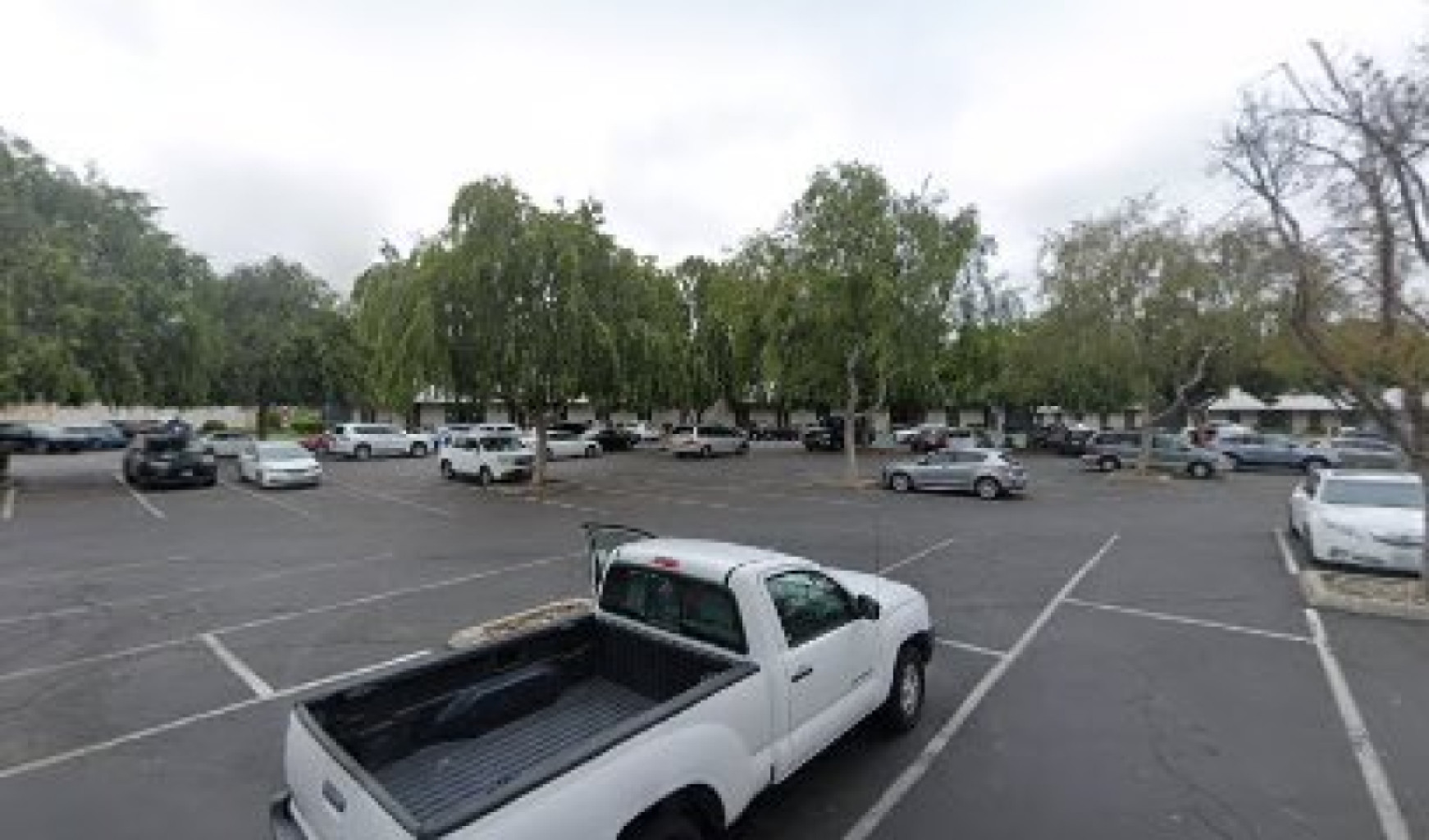 Bascom Therapy photo 1