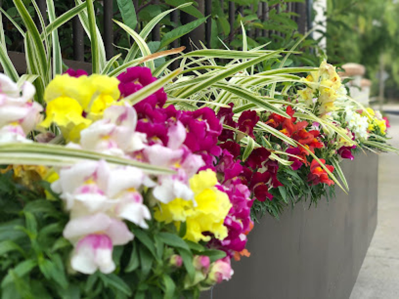 Healing Garden Spa photo 1
