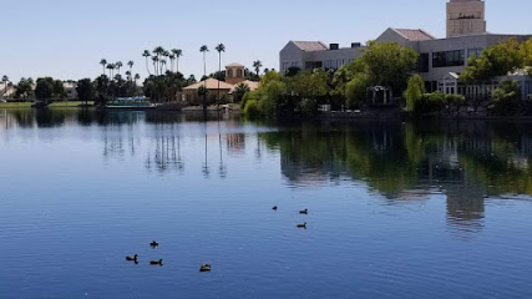 Reiki Tao Wellness photo 1