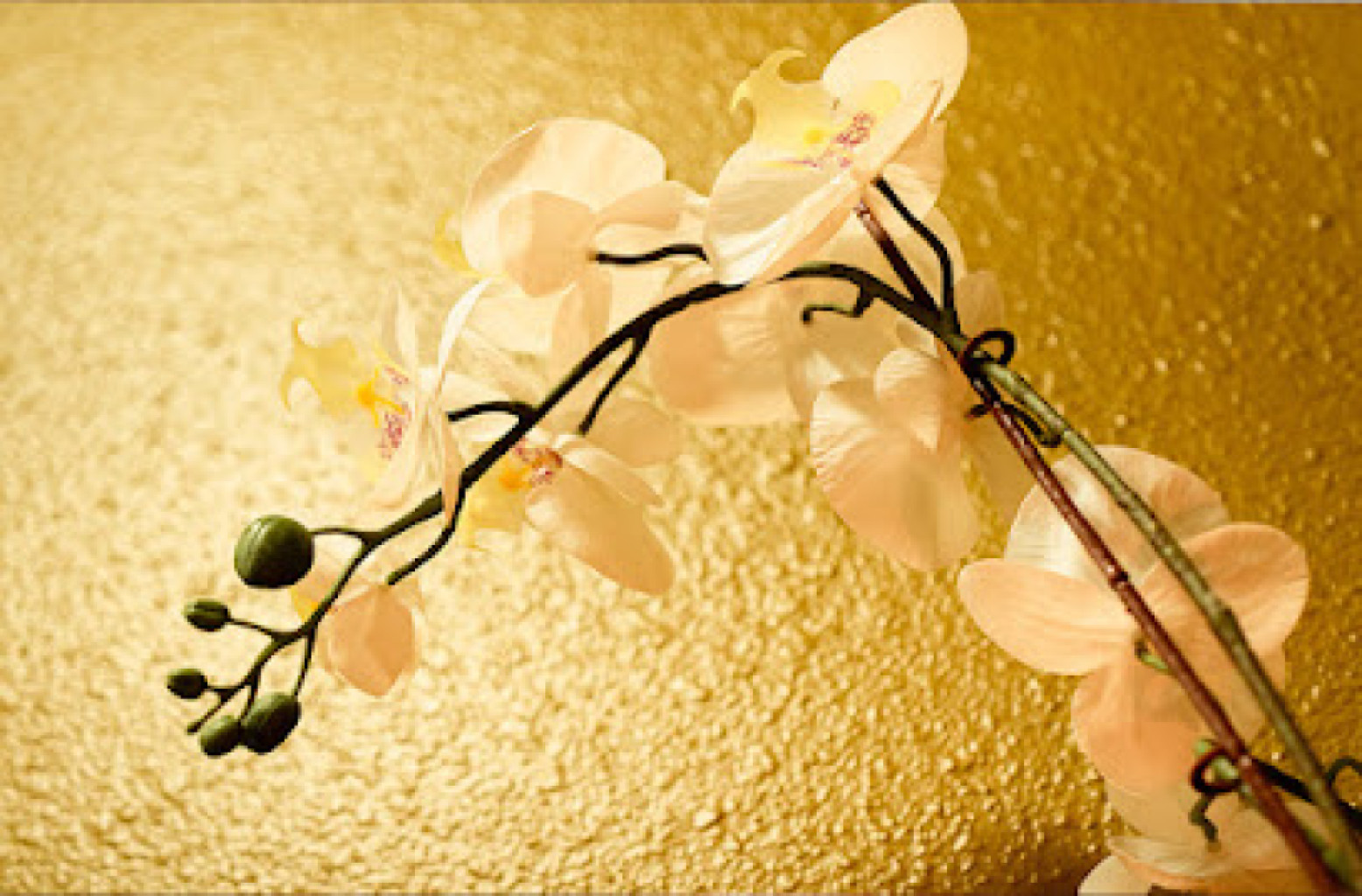 Health Spa photo 1