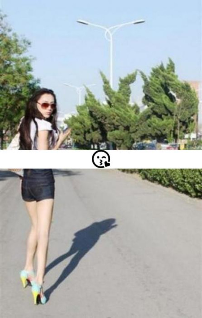 Susu photo 1